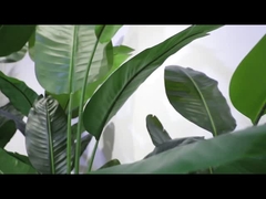 회전 섹션 비디오