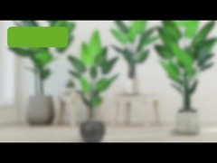 가짜 여행자 참나무 (천국의 참나무 새) - 180cm/200cm 현실적인 PE 잎 인공 Pl