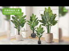 인조 여행자 야자수, 사실적인 잎 가장자리 160cm 180cm | 생생한 가짜 극락조