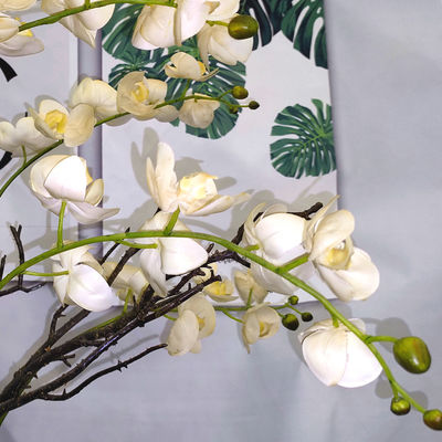 High Simulation 56cm Artificial Butterfly Orchid Flower Plant 6 Colors