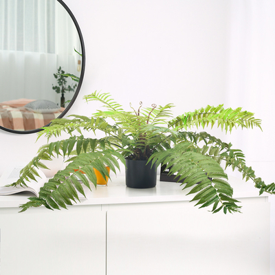 70cm Artificial Fern Tree Indoor Decor Living Room Evergreen Tropical Plant Custom Height