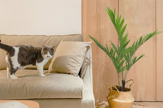 Anti Aging Artificial Landscape Trees Indoor Potted Plant Areca Palm