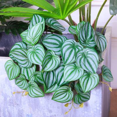 Simulation Artificial Potted Floor Plants Silk Tree Bedroom Decoration