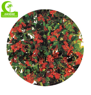 180cm Artificial Potted Floor Plants , Artificial Flower Trees No Nursing