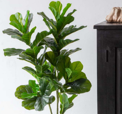 ODM 200cm Height Artificial Potted Floor Plants Fiddle Ficus