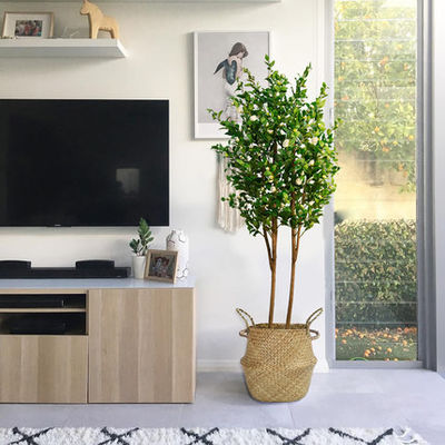 PE Fabric Artificial Camellia Tree White Flower Customized Size