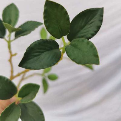 OEM Green Aglaia Tree Floral Artificial Potted Floor Plants House Ornamets