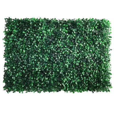 Green Vertical Artificial Plant Wall Fire Retardant No Smell Custom