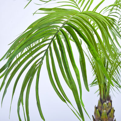 190cm Artificial Plants Phoenix Palm Tree Evergreen Indoor Palm Tree Rainstorm Style Palm Tree