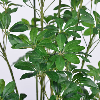 Artificial Multi-Stem Schefflera Plant 120cm 150cm 180cm | Faux Arboricola for Indoor Office & Home Decor