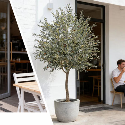 인테리어 장식을 위한 고품질 관상용 올리브 나무 인조 올리브 나무 화분 결합