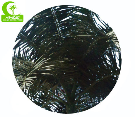 Royal 15m Artificial Coconut Palm Trees For Outdoor And Indoor