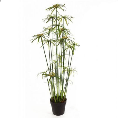 Height 155cm Artificial Potted Floor Plants Cyperus Eco Friendly