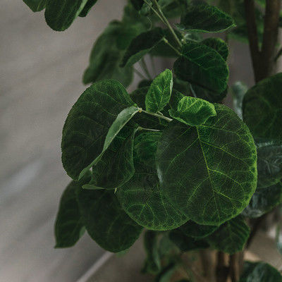 Bonsai Nordic Artificial Money Ficus Tree Home Living Room Floor Decor