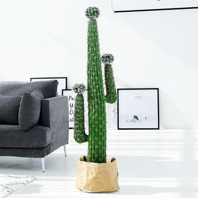 Fashion Cactus And Succulent Fake Plastic Plant For Home Decoration
