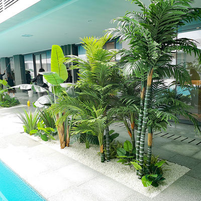 Green Potted Indoor Travelers Palm Corner Landscape Leisure Place Ornaments